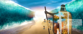 Pesach for Callout on Home page